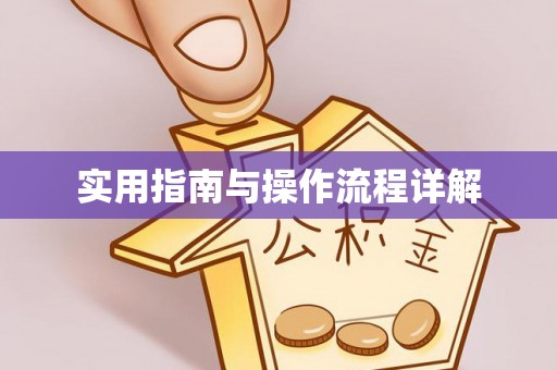 延川实用指南与操作流程详解