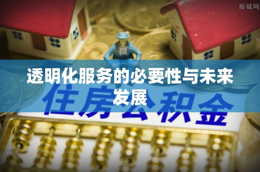 延川透明化服务的必要性与未来发展