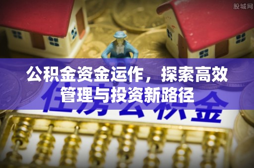 延川公积金资金运作，探索高效管理与投资新路径