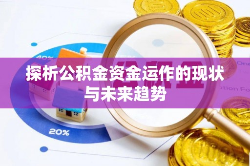 延川探析公积金资金运作的现状与未来趋势
