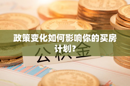 延川政策变化如何影响你的买房计划？