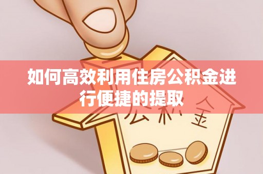 延川如何高效利用住房公积金进行便捷的提取