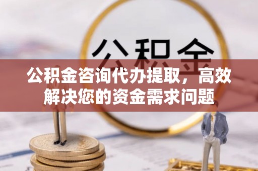 延川公积金咨询代办提取，高效解决您的资金需求问题