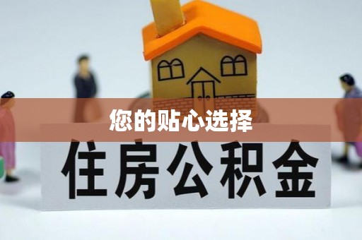 延川您的贴心选择