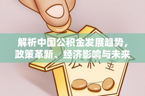 延川解析中国公积金发展趋势，政策革新、经济影响与未来展望