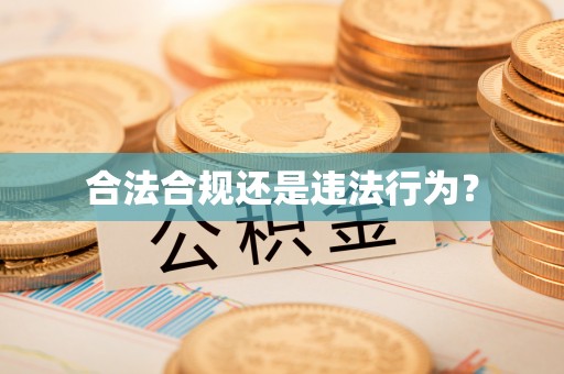 延川合法合规还是违法行为？