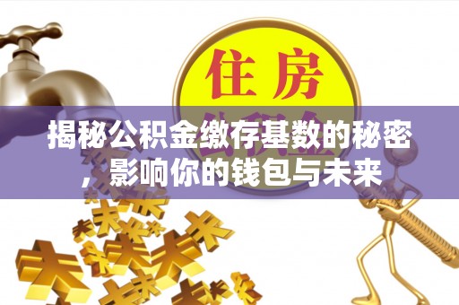 延川揭秘公积金缴存基数的秘密，影响你的钱包与未来