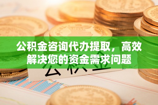 延川公积金咨询代办提取，高效解决您的资金需求问题
