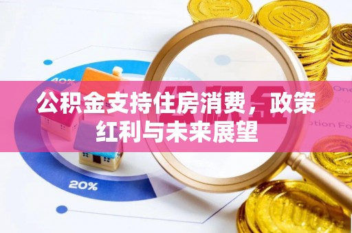 延川公积金支持住房消费，政策红利与未来展望