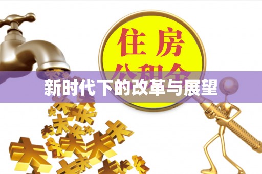 延川新时代下的改革与展望