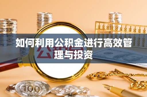 延川如何利用公积金进行高效管理与投资