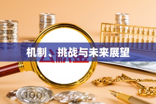延川机制、挑战与未来展望