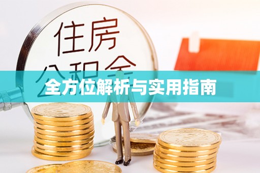 延川全方位解析与实用指南