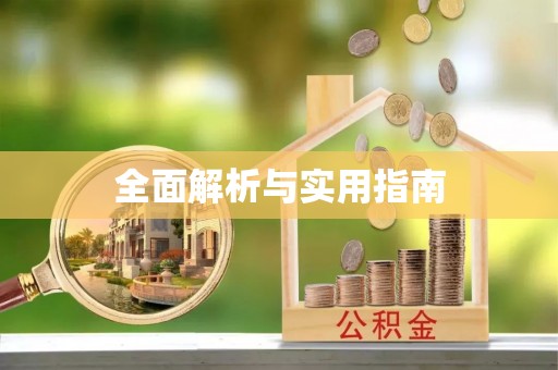 延川全面解析与实用指南