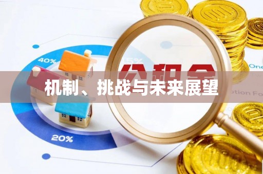 延川机制、挑战与未来展望