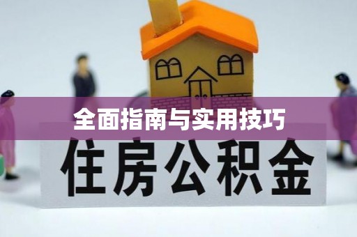 延川全面指南与实用技巧