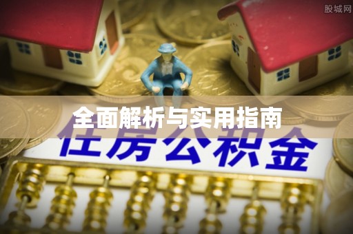 延川全面解析与实用指南