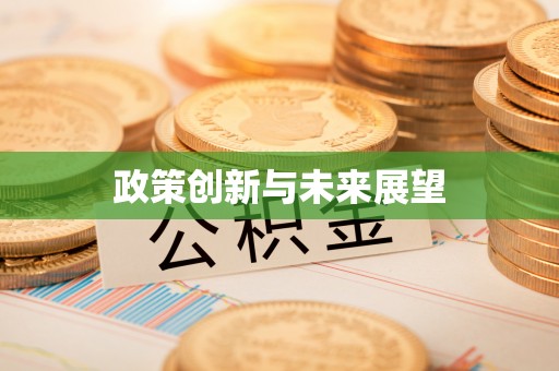 延川政策创新与未来展望