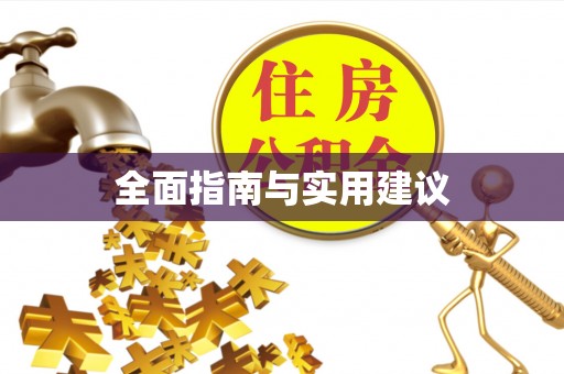延川全面指南与实用建议