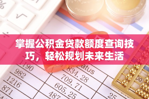 延川掌握公积金贷款额度查询技巧，轻松规划未来生活