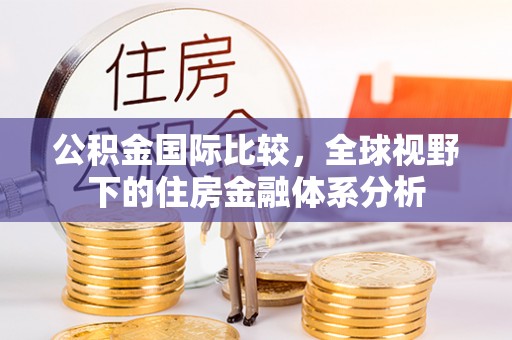延川公积金国际比较，全球视野下的住房金融体系分析