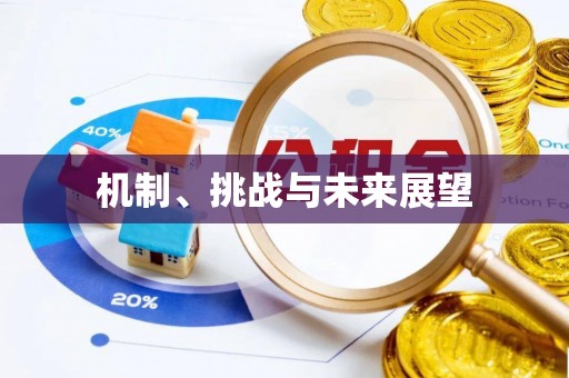 延川机制、挑战与未来展望